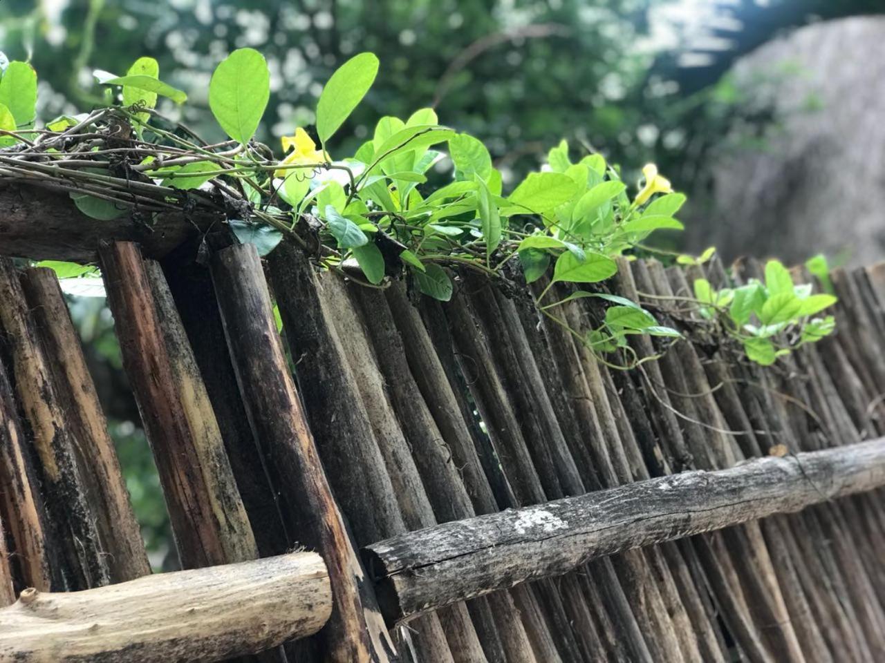 Cabanas La Alborada Villa Tulum Kültér fotó